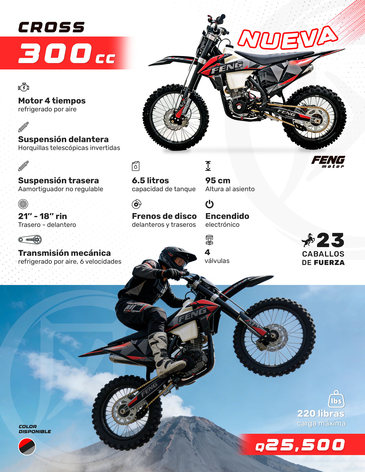 CROSS 300