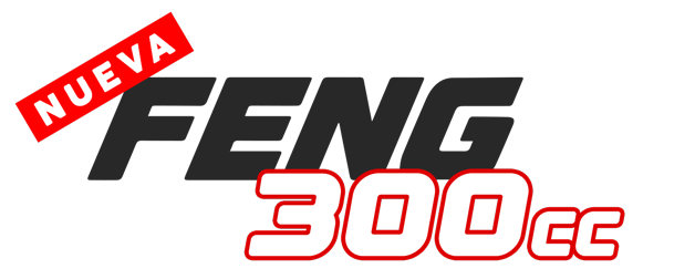 FENG 300