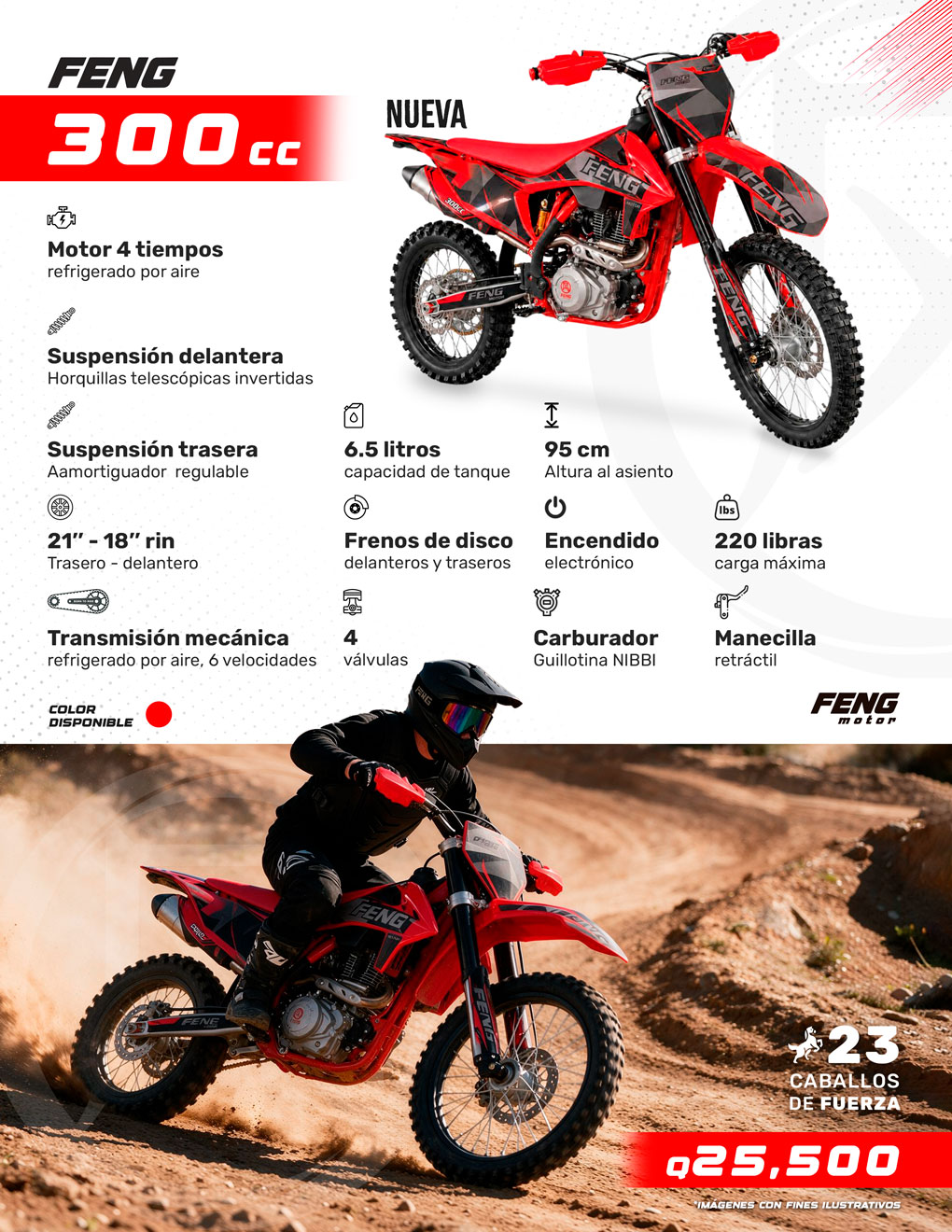FENG 300