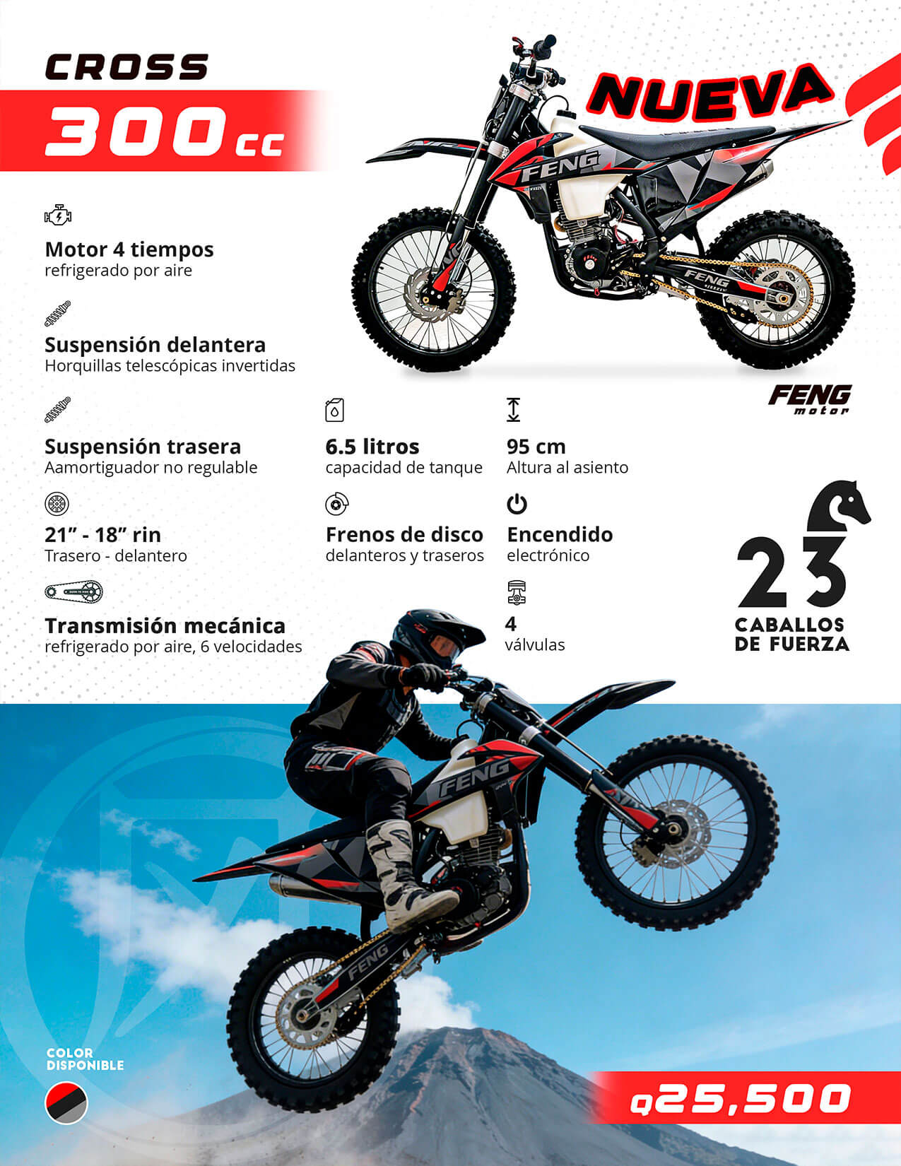 CROSS 300