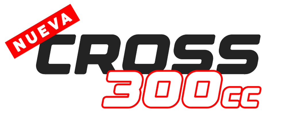 CROSS 300
